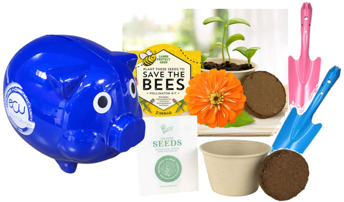 PIGGY BANK AND TWO FLOWER SEED GROW KITS